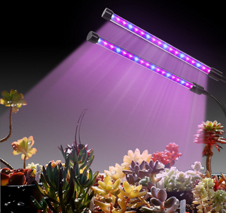 LED Fleshy Fill Plant Growth Lamp With Dimming