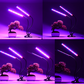 LED Fleshy Fill Plant Growth Lamp With Dimming