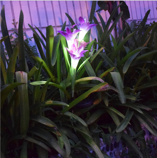 Solar Solar Powered LED Lily Fairy Lights