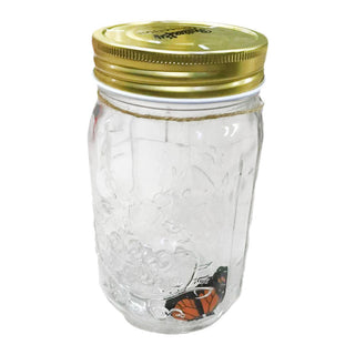 Serene Wing - Dancing Butterfly In A Jar