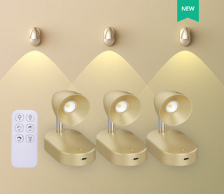 SimpleSolutions - Easy Installation Modern Wall Sconce