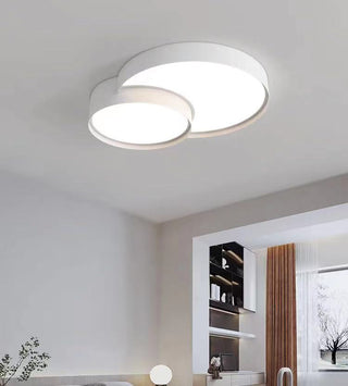 Simple And Fashionable Ceiling Lamp