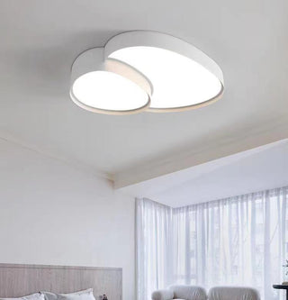 Simple And Fashionable Ceiling Lamp